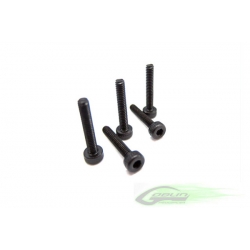 DIN 12.9 Socket Head Cap M2,5x6 (5pcs) - Goblin 630/700 [HC018-S]
