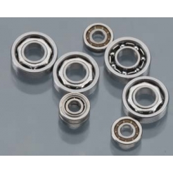 Bearing Set Axe 100 CP/SS/SSL HMXE2116
