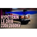 RotorRiot Hypetrain Le Drib 2306 2650KV Motor